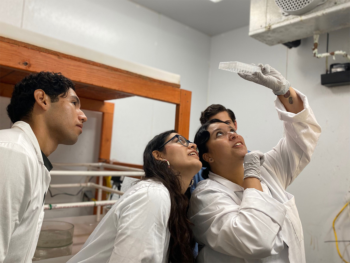 student researchers in the lab examining a culture plate
