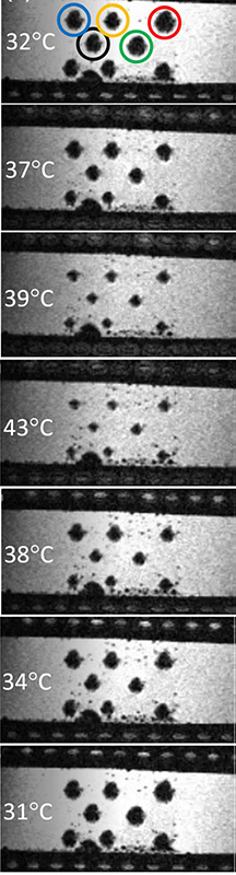 MRI images of metamagnetic particles