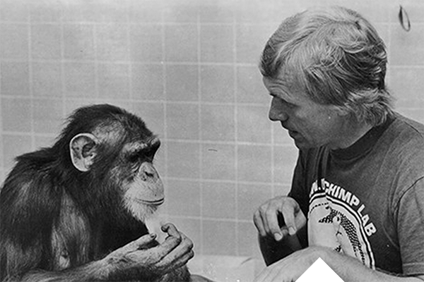 Roger Fouts teaching chimpanzee to speak