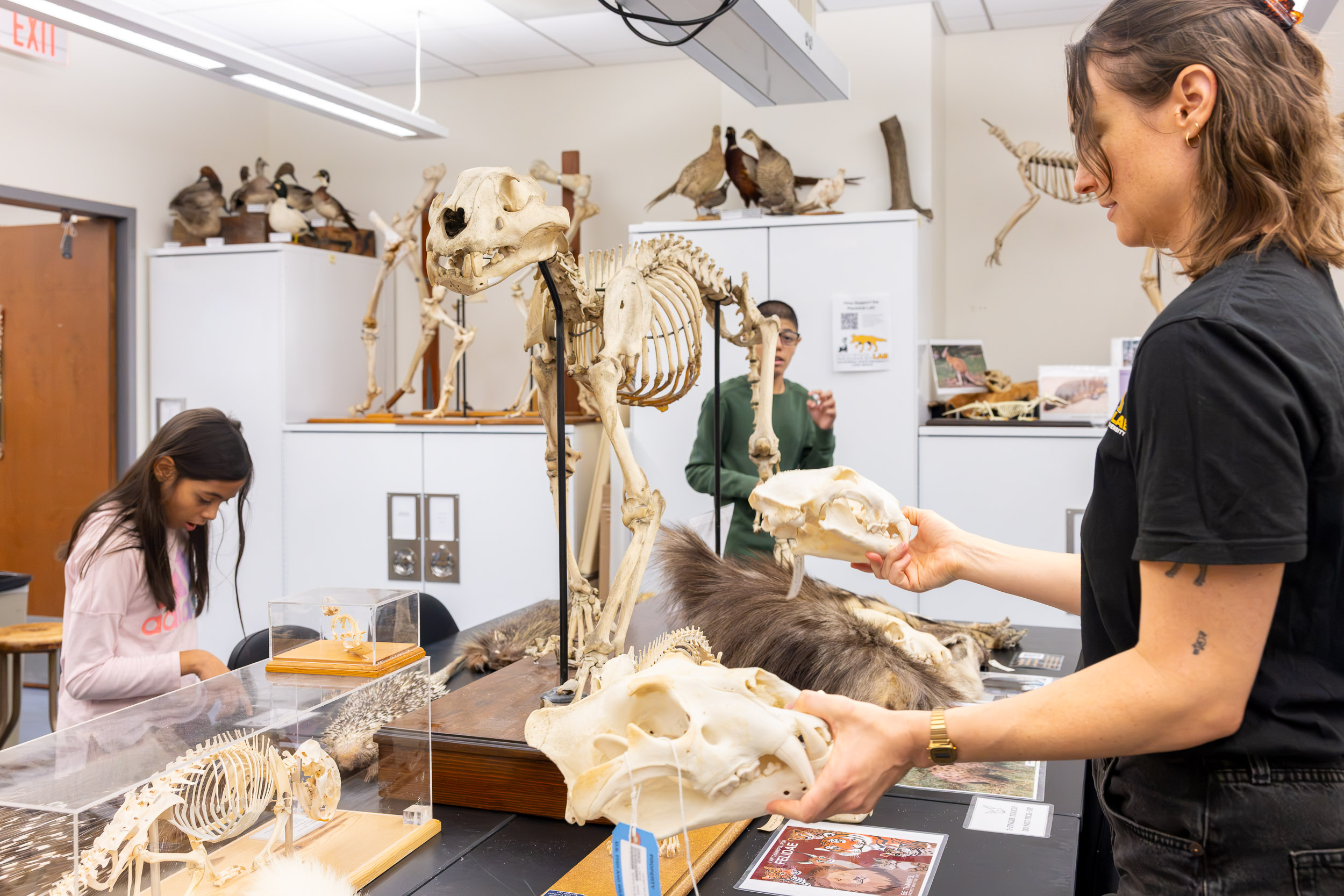 A person holds two animal skulls near a skeleton display as children explore.