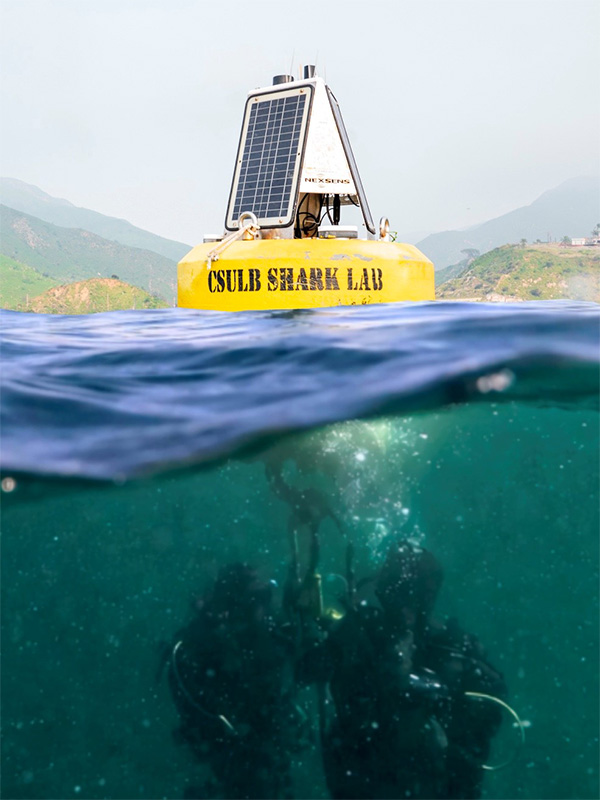 divers working under a buoy