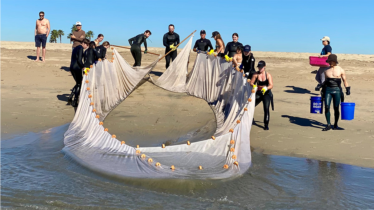 group pulling a seine net out of the water