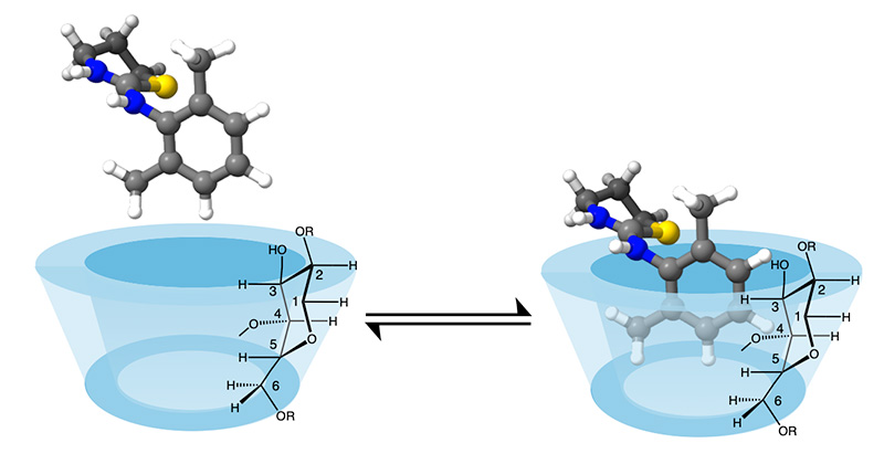 cyclodextrin