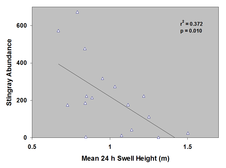 27.png Fig. 14 - Stingray Abundance vs. Mean 24 hour swell height