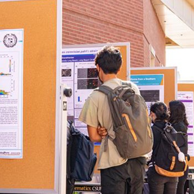 Students show off posters