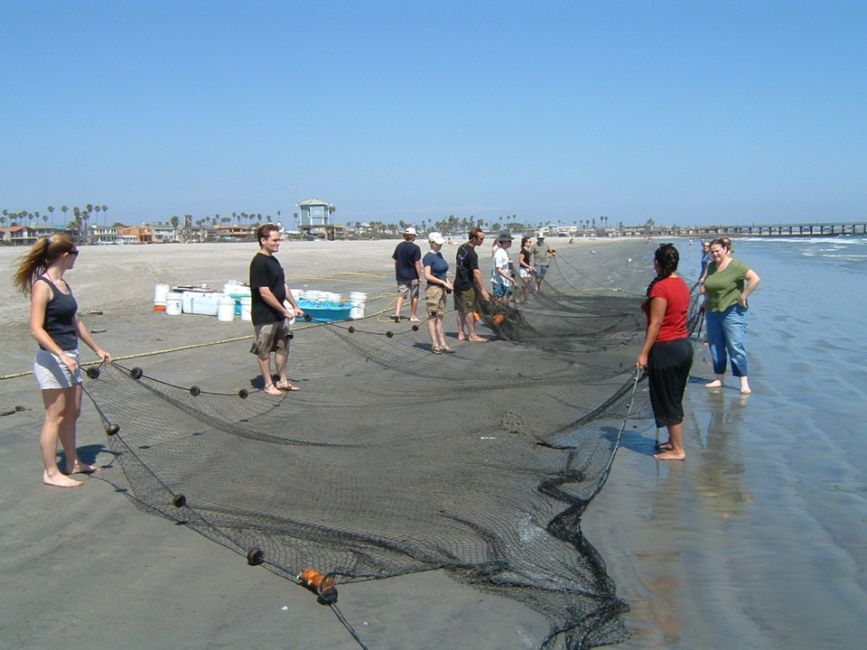 41.png Fig. 28 - preparing to deploy a seine net