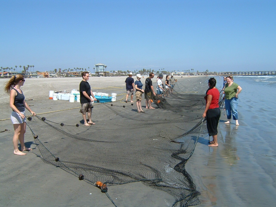 Fig. 28 - preparing to deploy a seine net