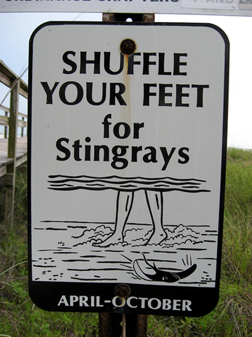 Fig. 31 - warning sign to shuffle feet for stingrays