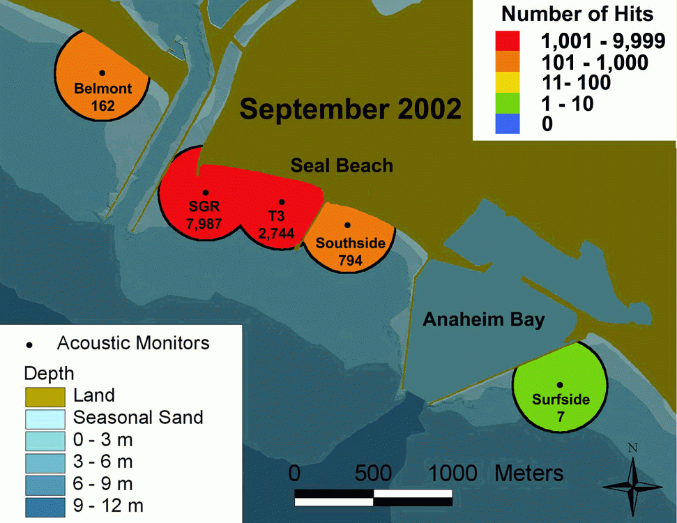 Fig. 34 - tagged stingray detections at Seal Beach