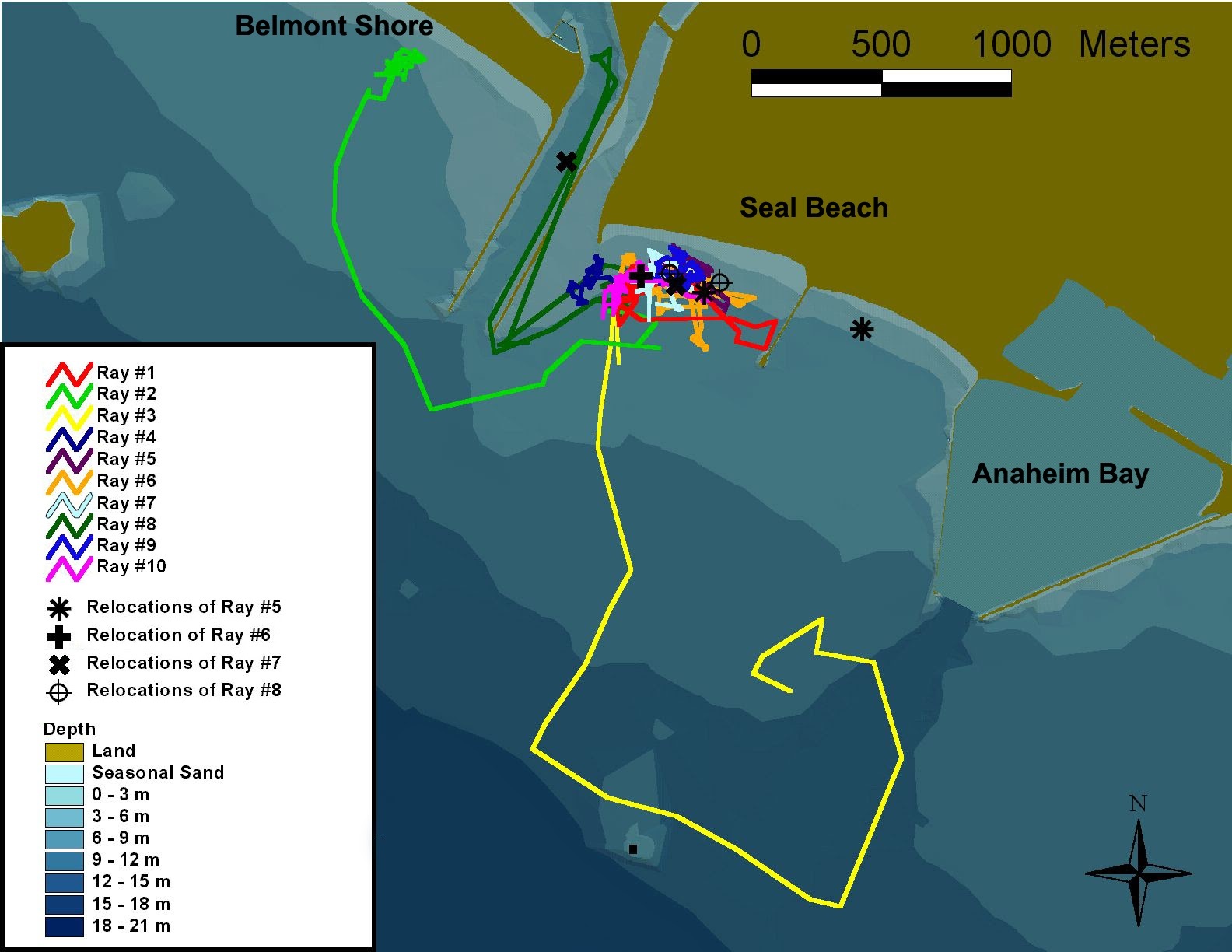 Fig. 37 - round stingray movement tracking