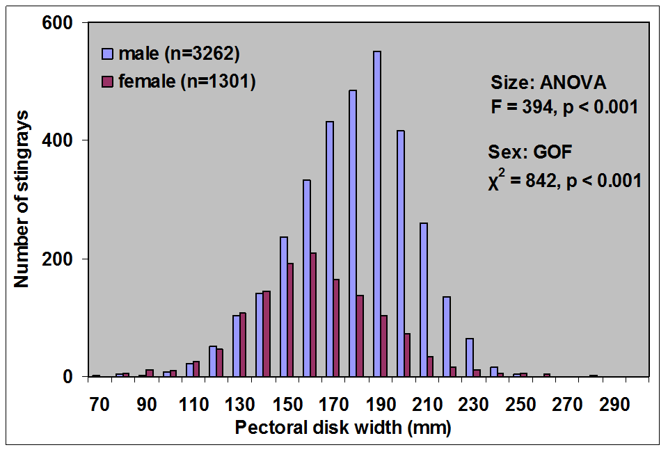 Fig. 38 - pectoral disk width versus number of stingrays in 