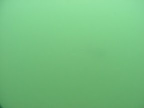 7.jpg A buried stingray, hardly visible.