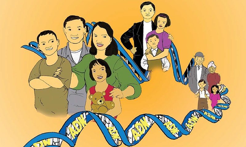8-family-health.jpg Tool kit art of a family connect by DNA