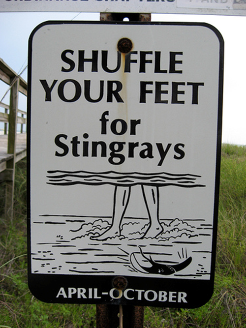 9.png A sign that says, "shuffle your feet for stingrays".