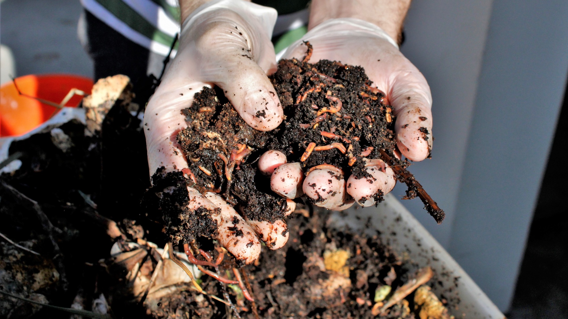 compost