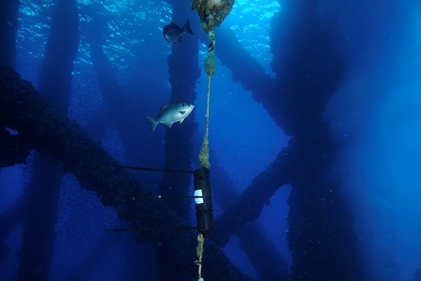 Underwater acoustic receiver