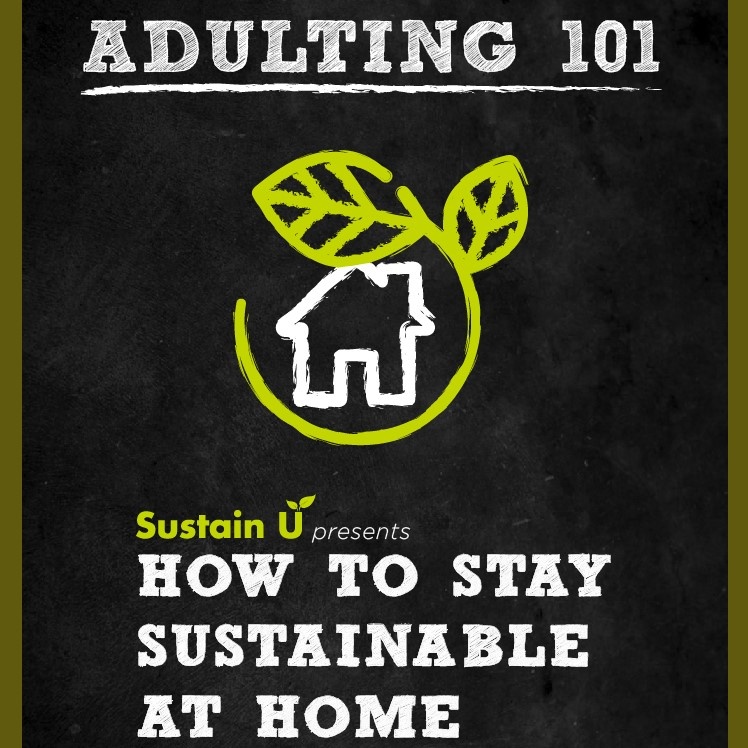 adulting 101 flyer