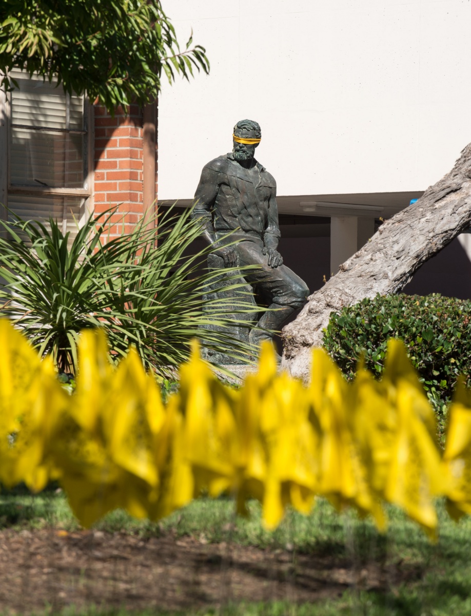 Flags and the statue