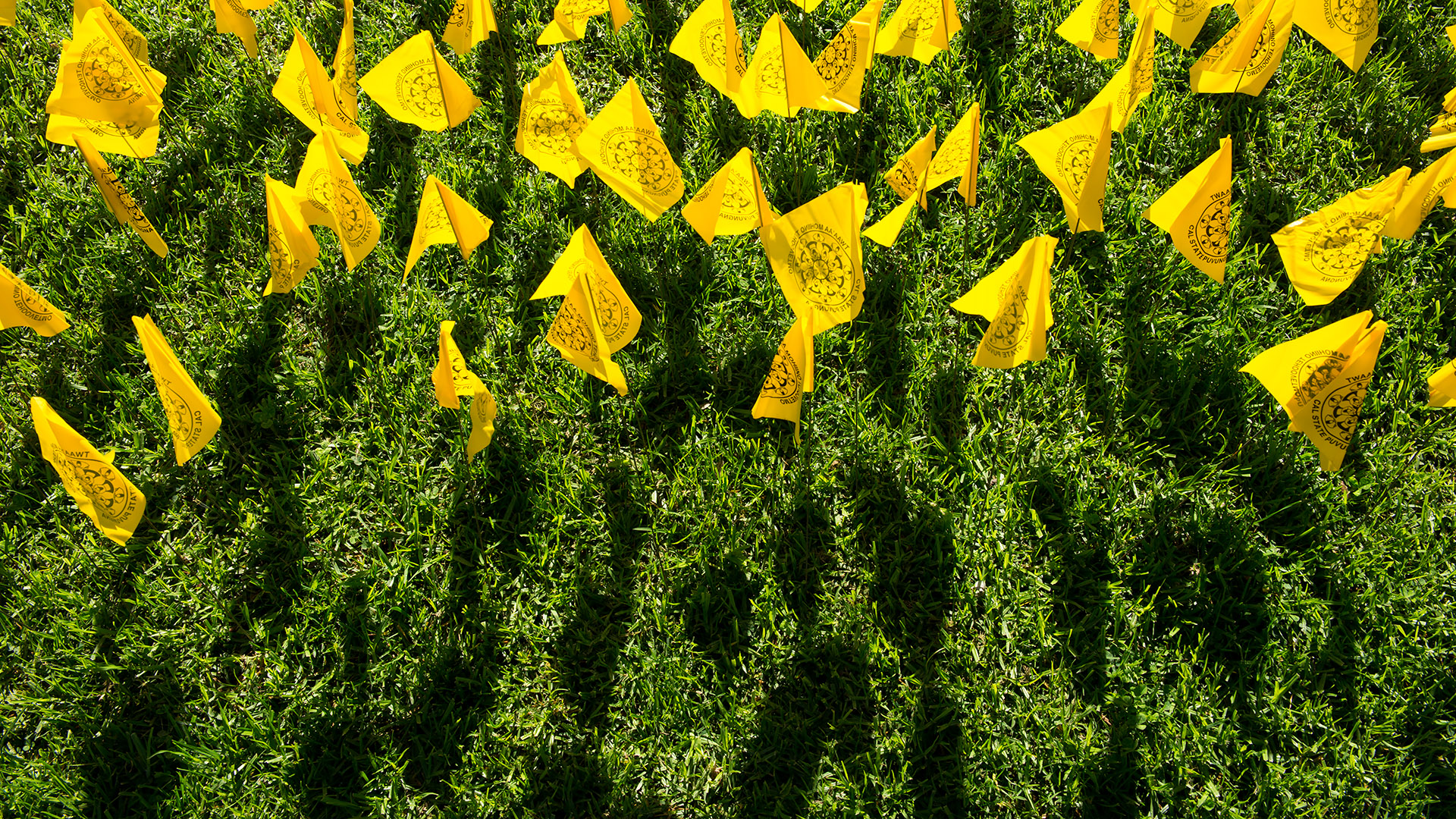 Native American Heritage Month