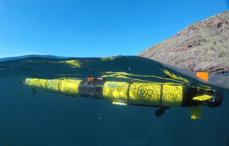 AUV underwater