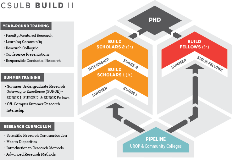 infographic showing the BUILD pipeline that helps students g