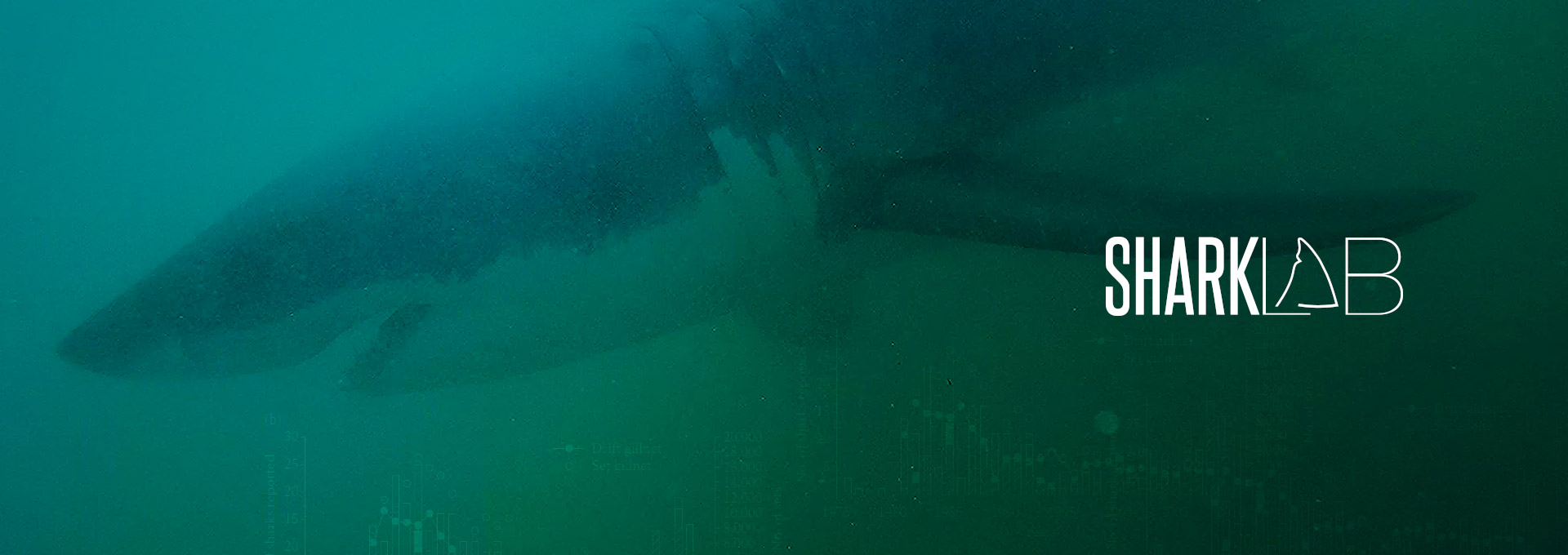 Image: banner_homepage_1920x680_2.jpg