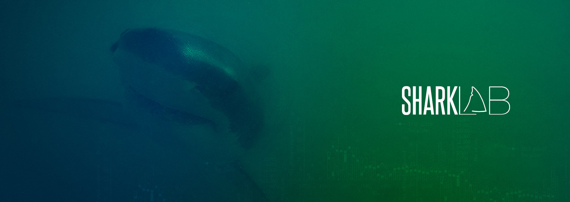 Image: banner_homepage_1920x680__1.jpg