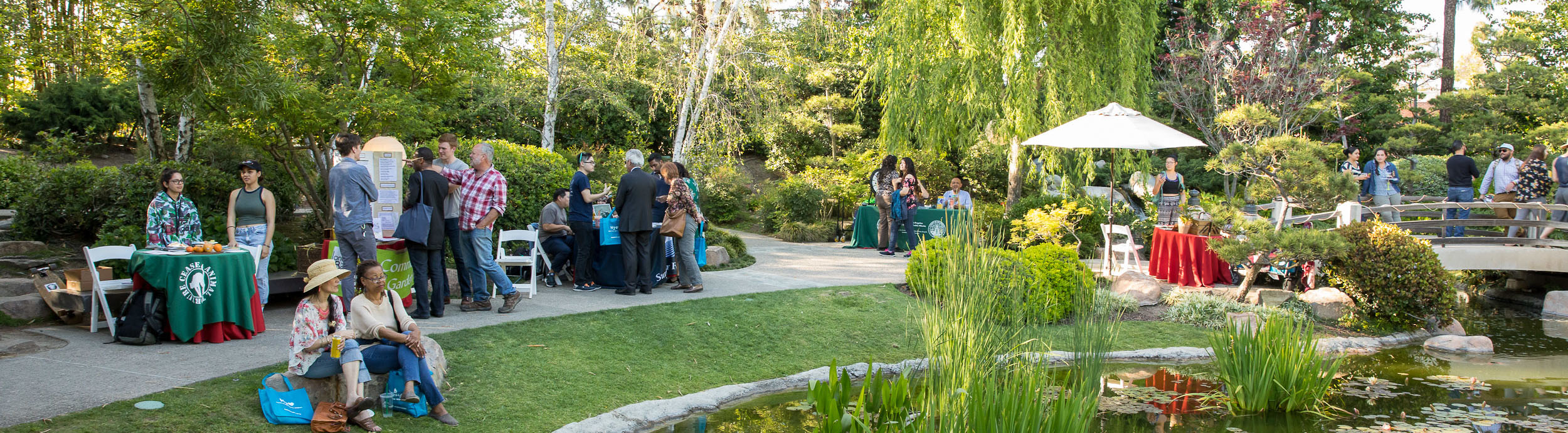 mixer in the Japanese Garden