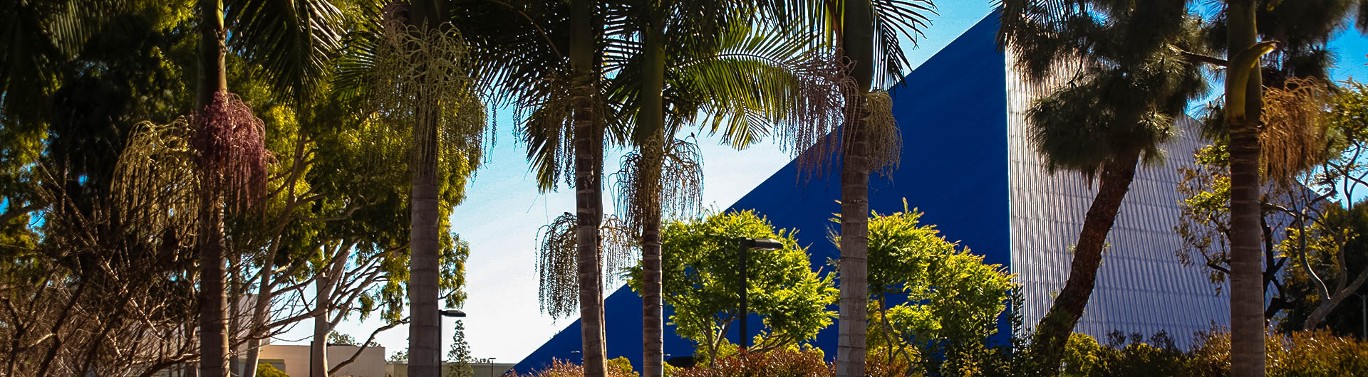 Pyramid with Trees