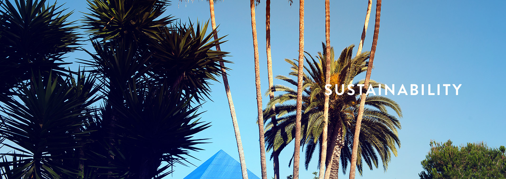 Image: banner_sustainability4.jpg