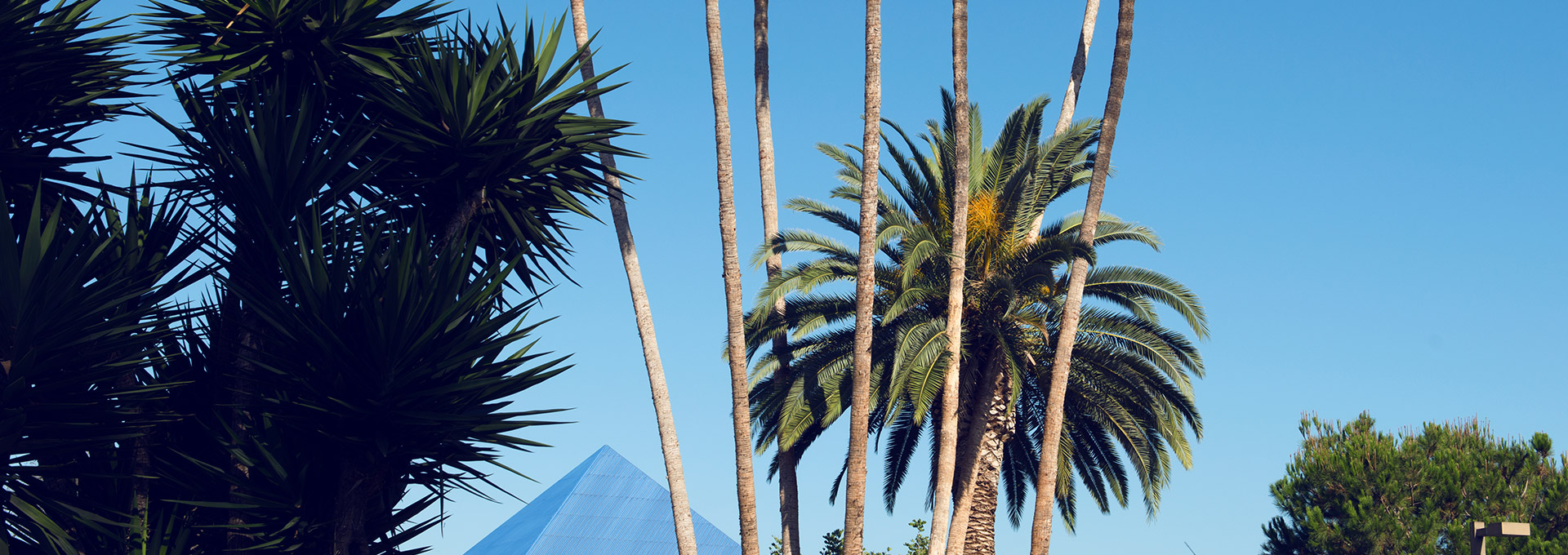 Image: banner_sustainability_0.jpg