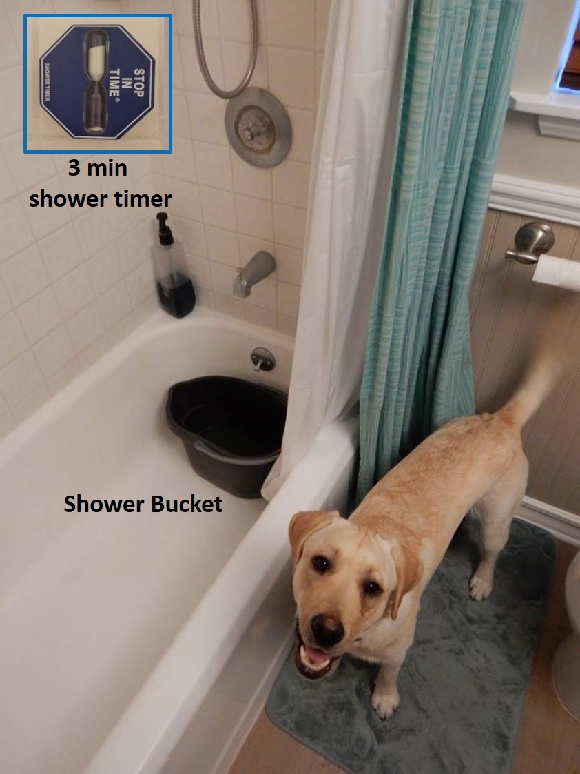 dog shower