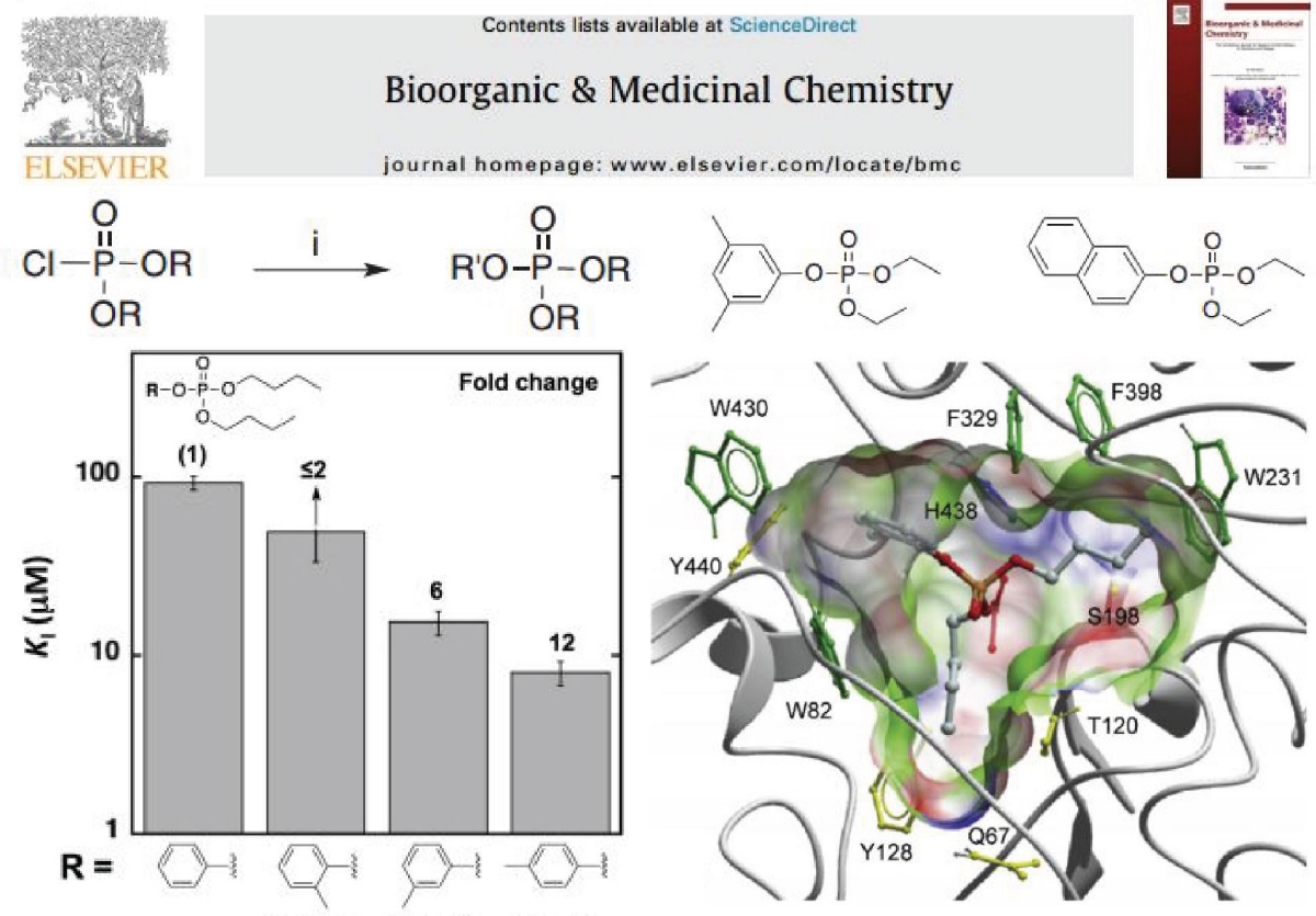 Bioorganic and Medicinal Chemistry Poster