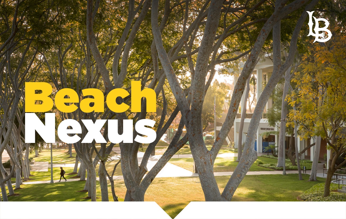 Beach Nexus