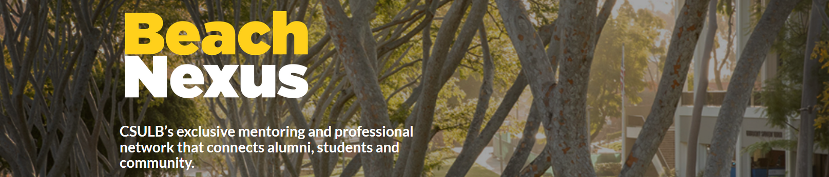 beachnexus.png Beach Nexus, CSULB's exclusive mentoring and professional ne