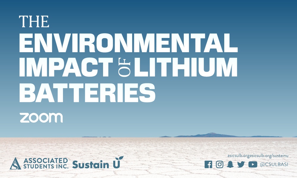 Lithium batteries 
