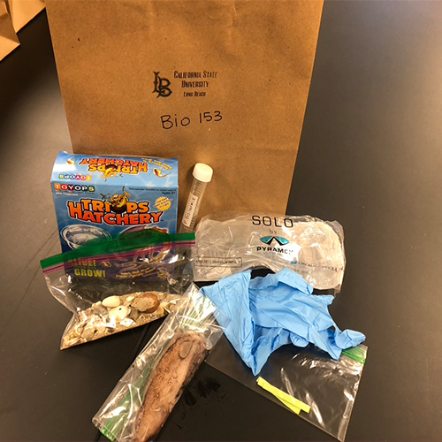 bio153_lab_kit.png Biology Lab kit