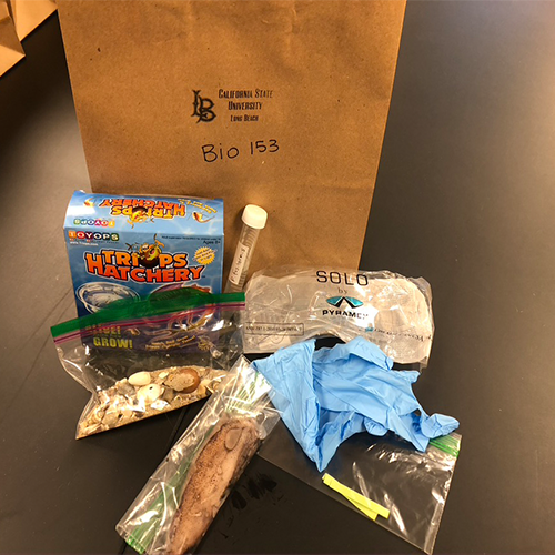 Biology Lab kit