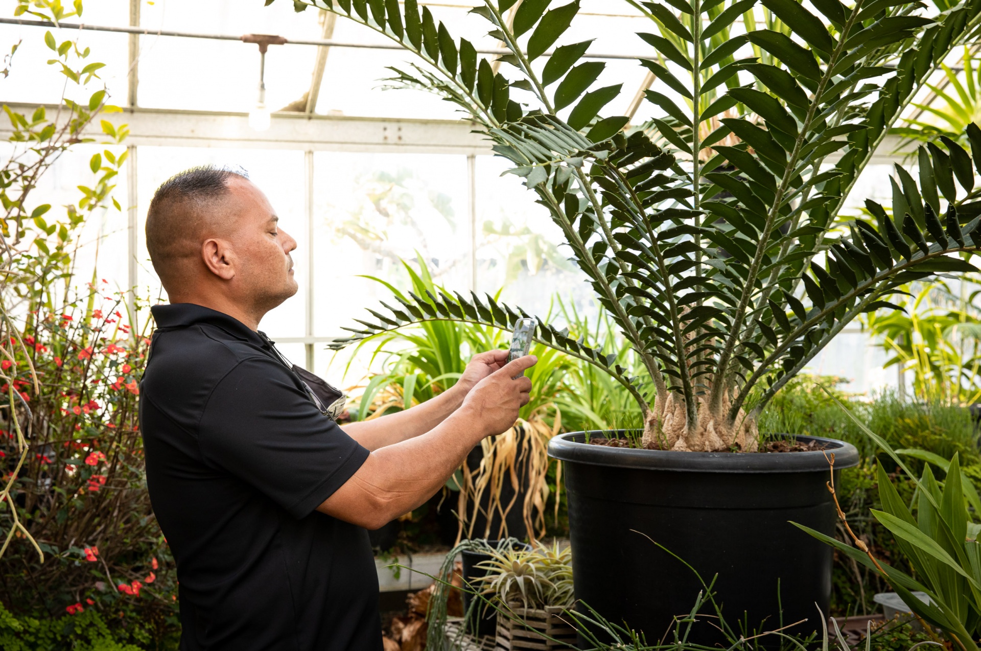 brian thorson checks plants