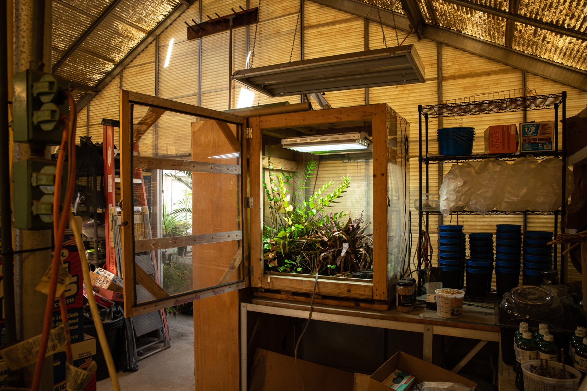 small greenhouse