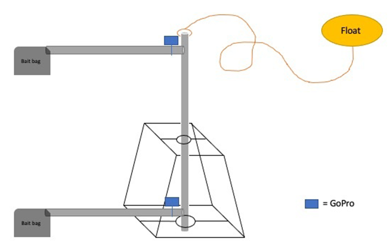 Baited remote underwater video diagram