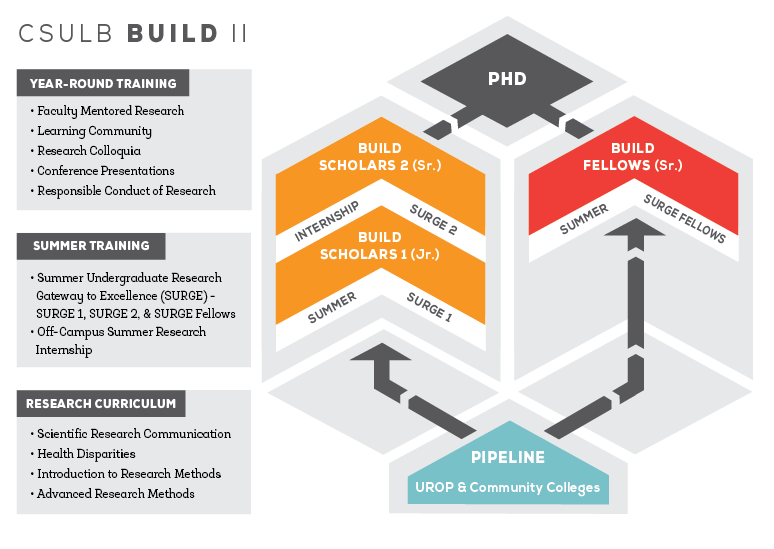 CSULB BUILD Program Overview