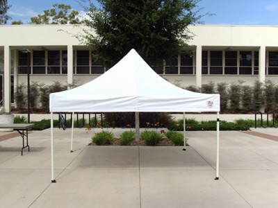 canopy.jpg Canopy Photo