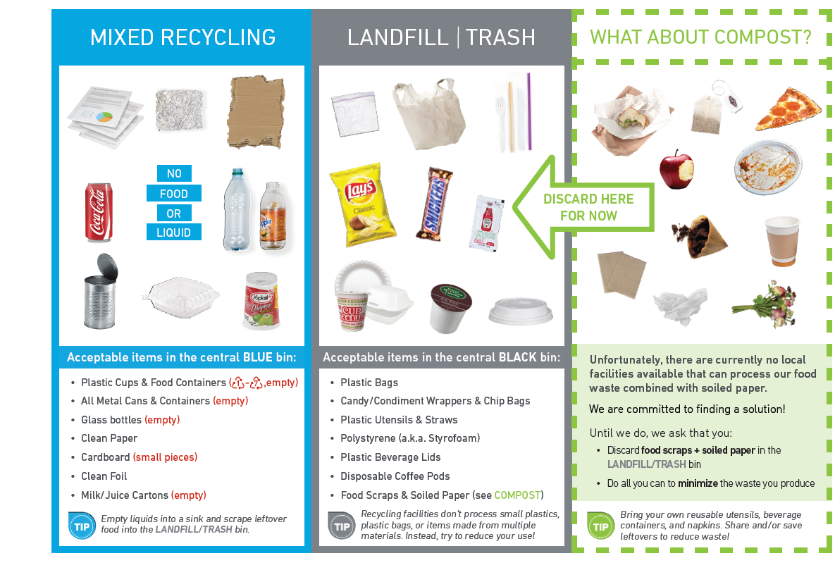 Bin There, Done That: How to Sort Your Trash at CSUN