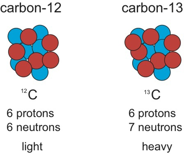 Carbon isotopes- heavy and light