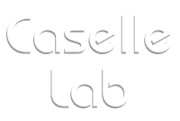 Caselle Lab 