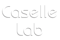 caselle-logo_0.png Caselle Lab