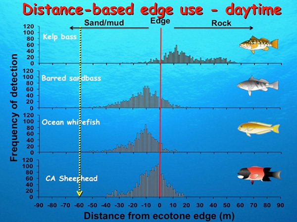 Fig. 8. distance-based edge use - daytime