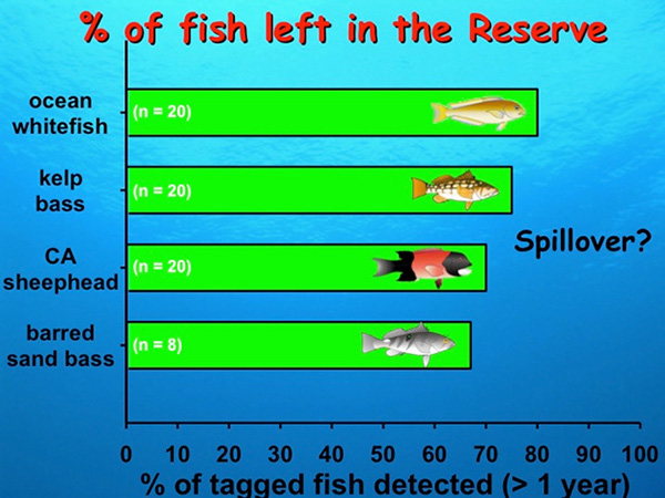 catalina-fish-left-in-reserve.jpg Fig. 7. percent of fish left in the reserve