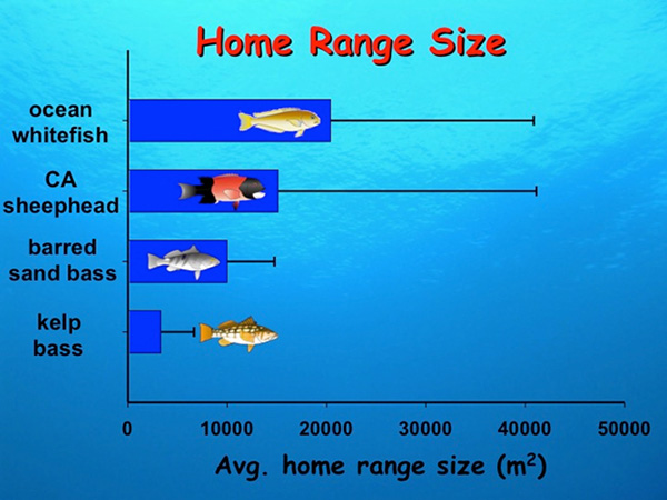 Fig. 5. home range size